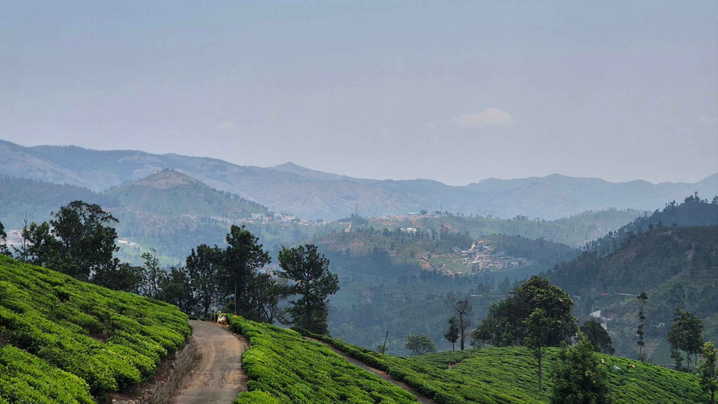 Scenic view of Ooty Nilgiris hill station with tea gardens and misty mountains