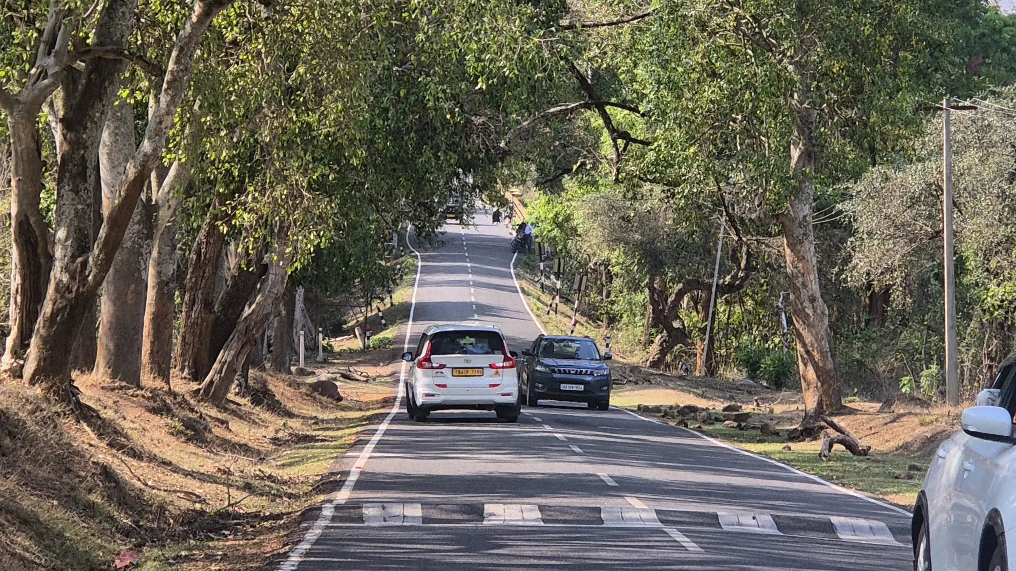 Kalhatty Ghat Road hairpin bends blocked for tourists Ooty 2026