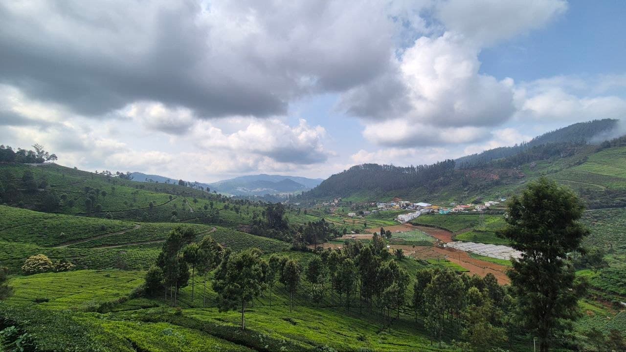 Misty tea plantations and monsoon clouds over Ooty in July