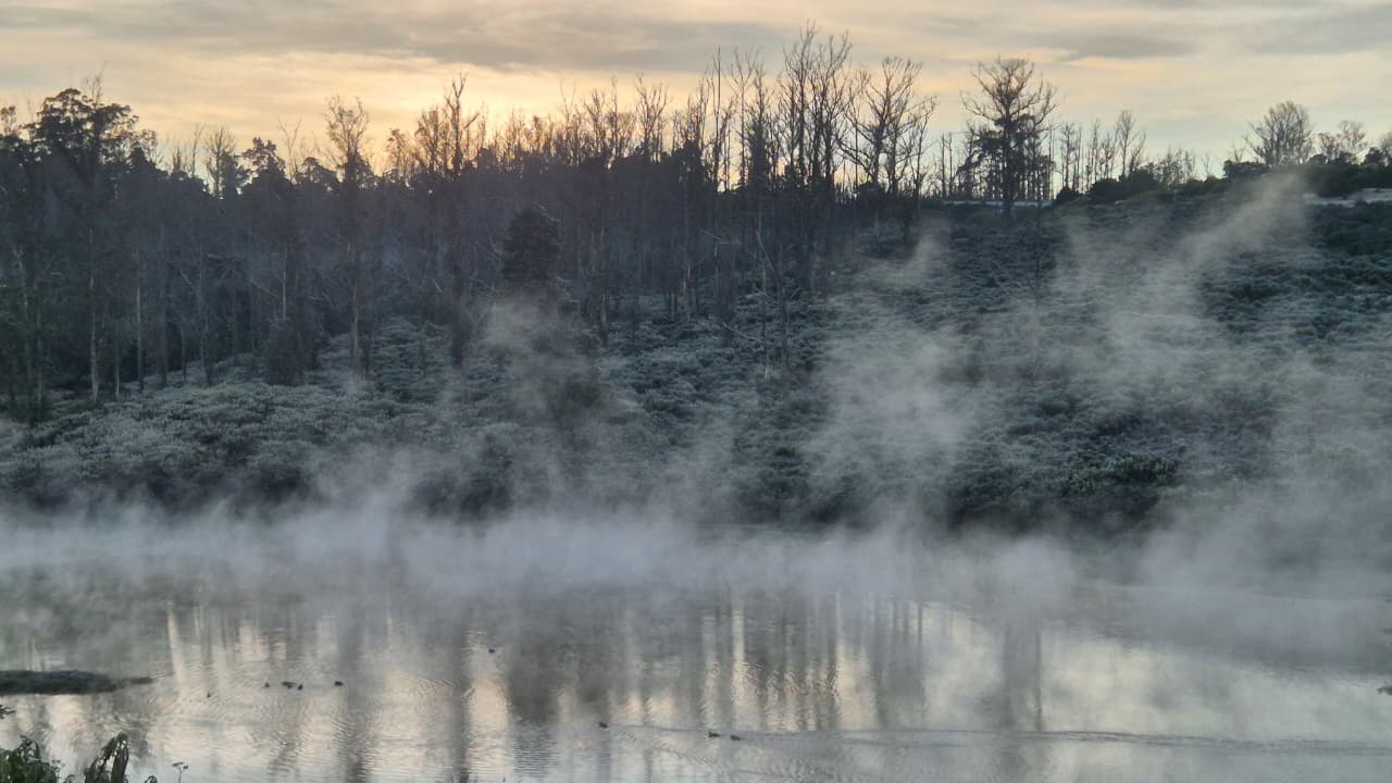 Frost-covered grass and misty morning at Thalaikundha near Ooty