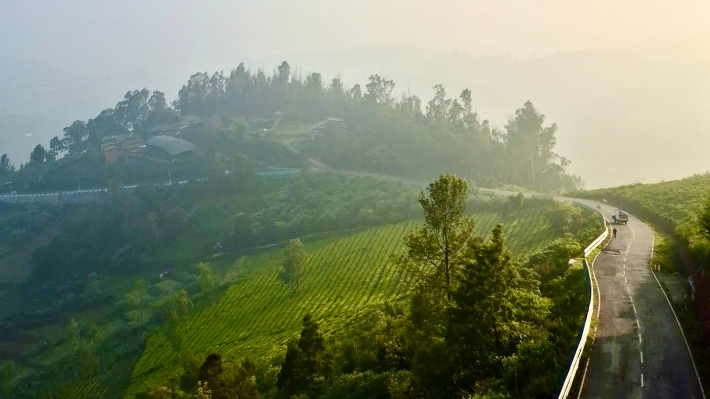 Major tourist places near Ooty including lakes, gardens, and viewpoints