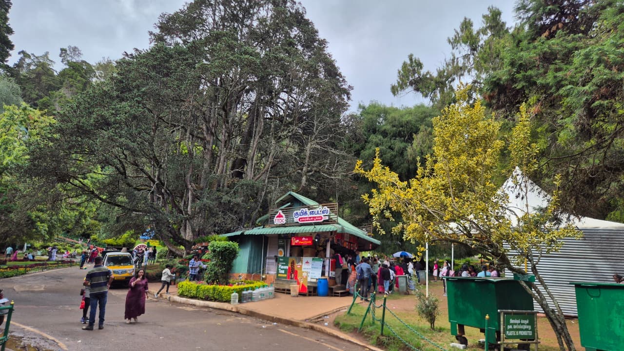 Government Botanical Garden image 4