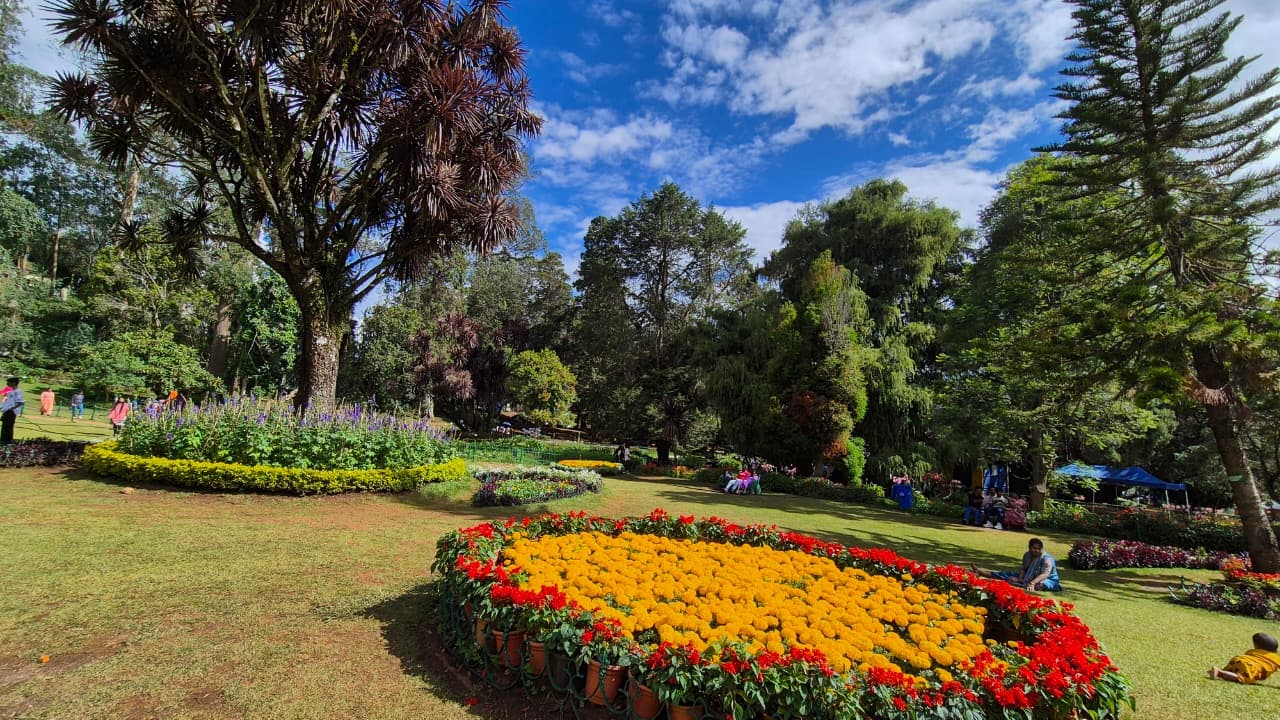 Government Botanical Garden image 5