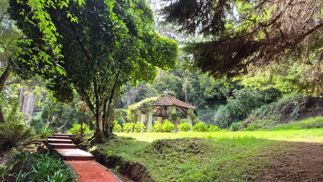 Government Botanical Garden image 7