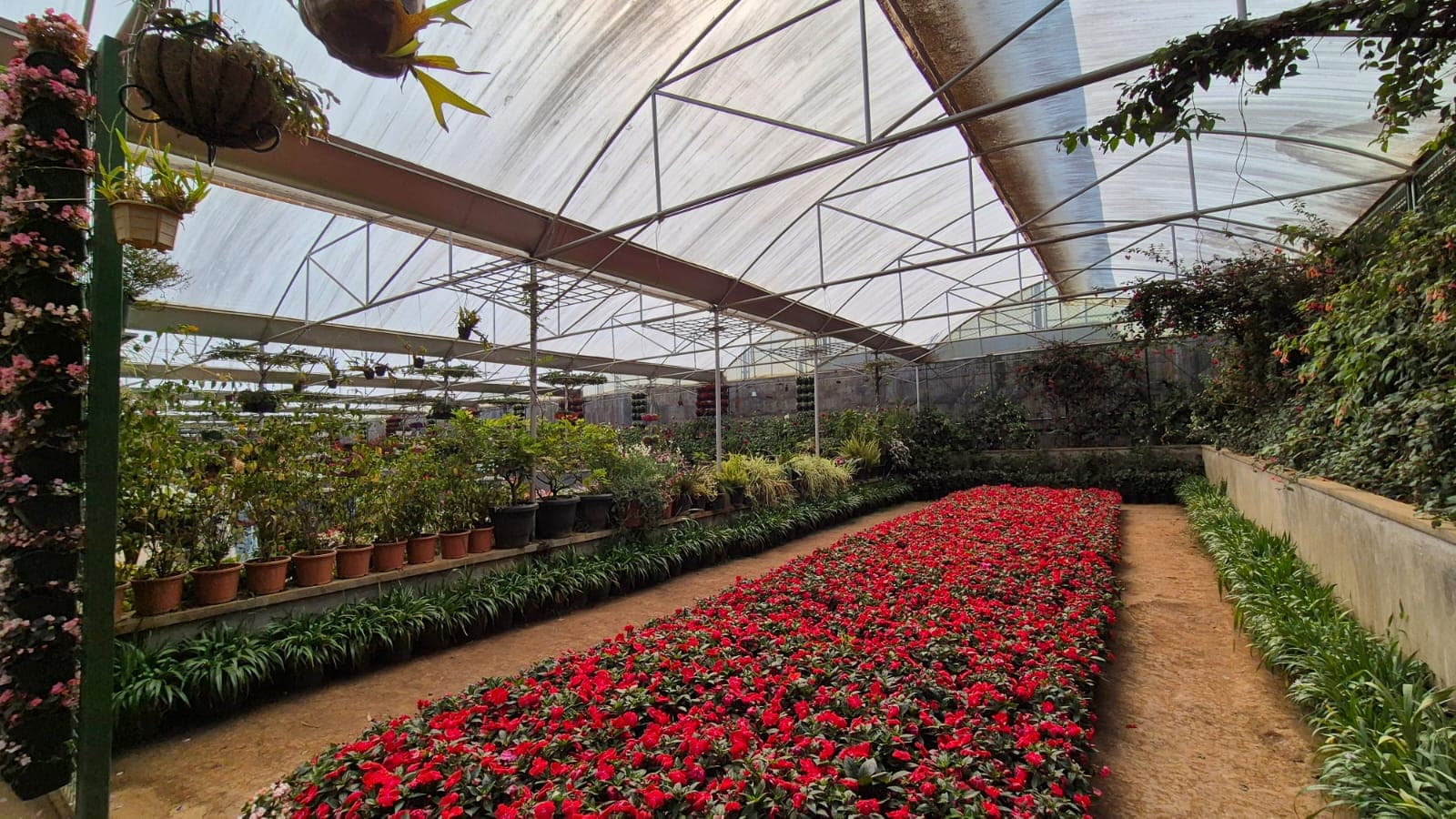 Karnataka Siri Horticulture Garden image 7