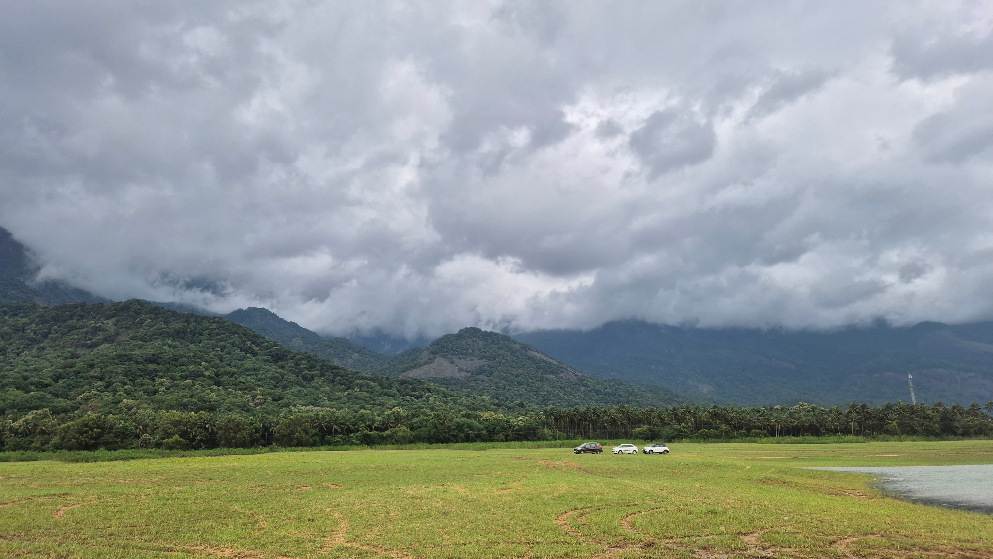 Misty green tea plantations of Ooty hills