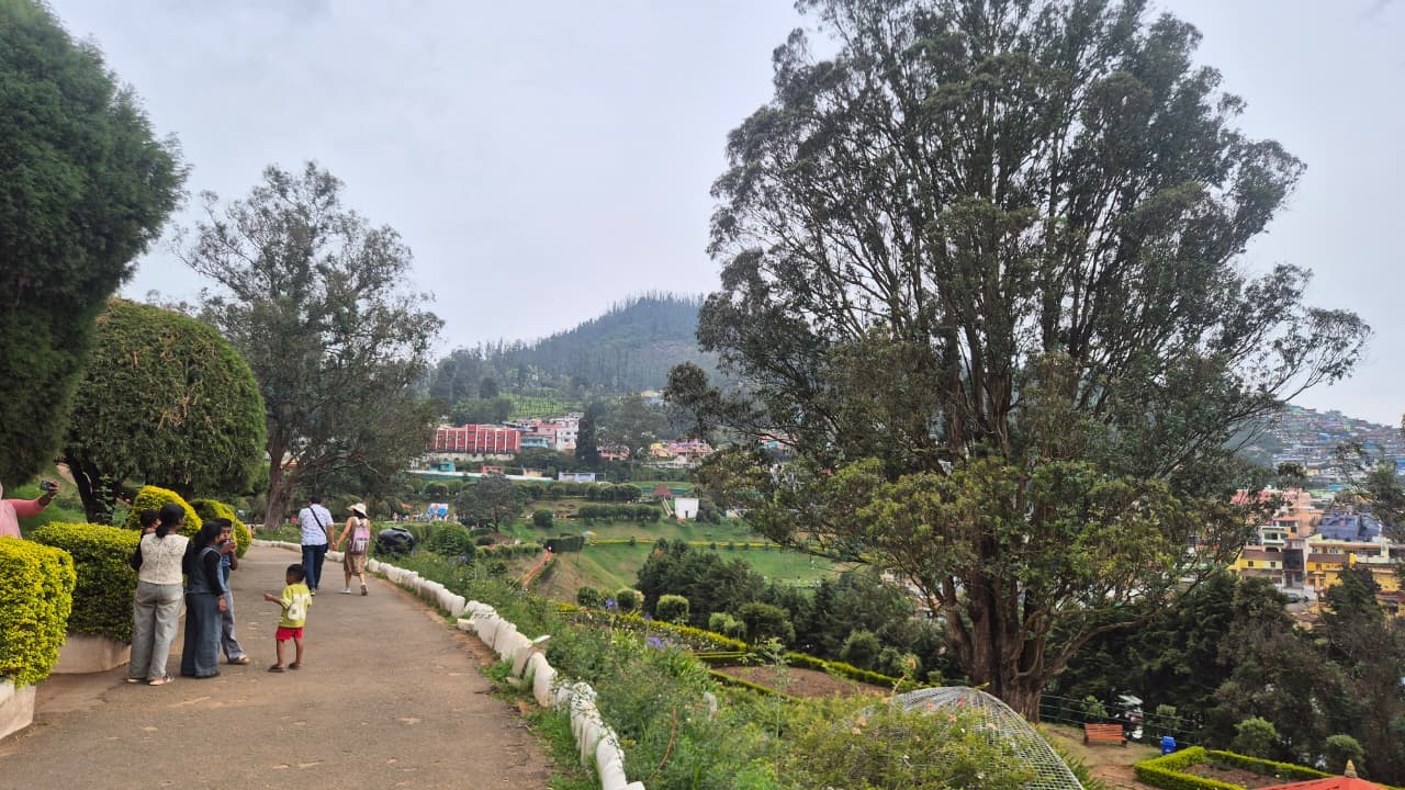 Government Rose Garden Ooty image 3
