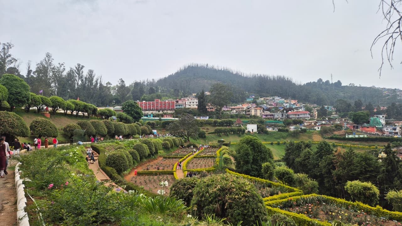 Government Rose Garden Ooty image 4