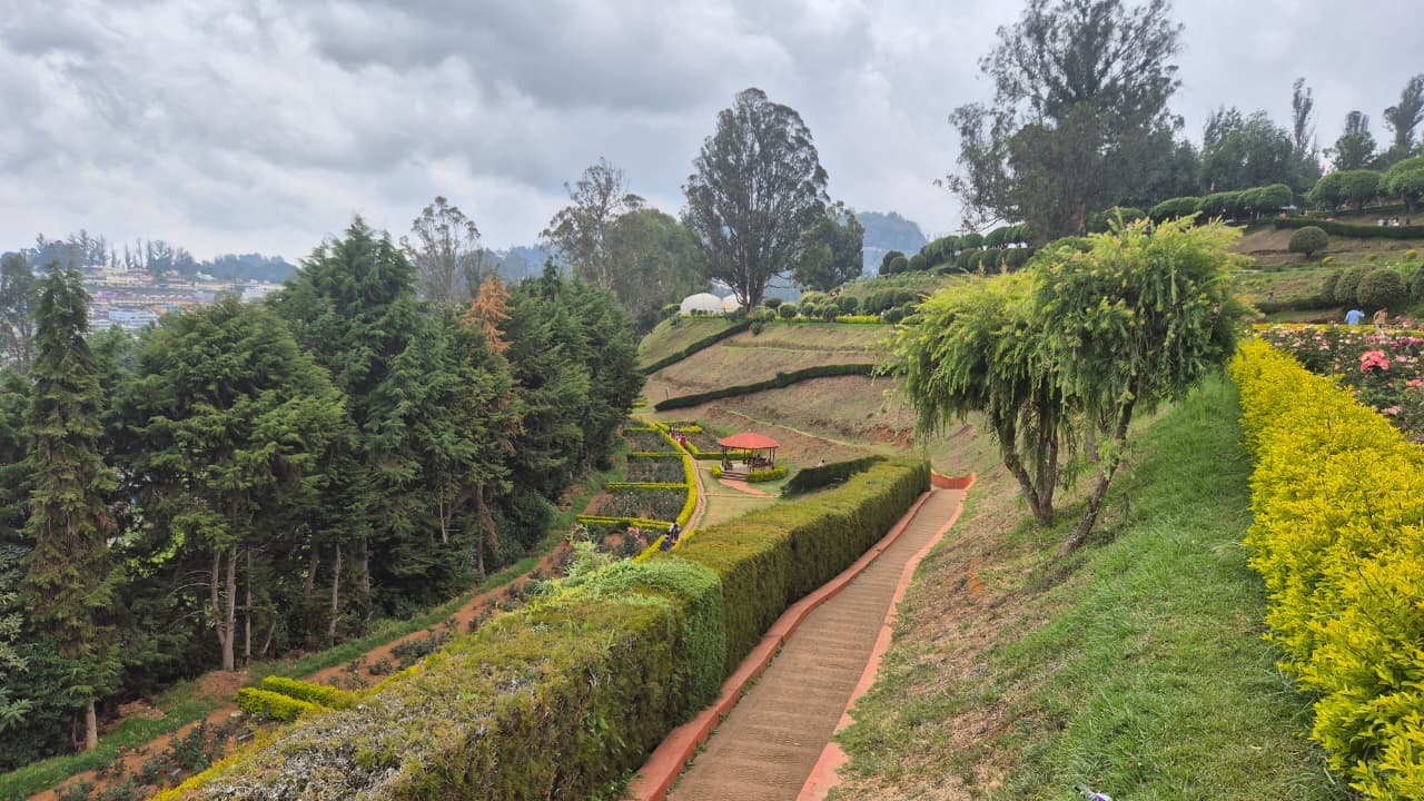 Government Rose Garden Ooty image 5