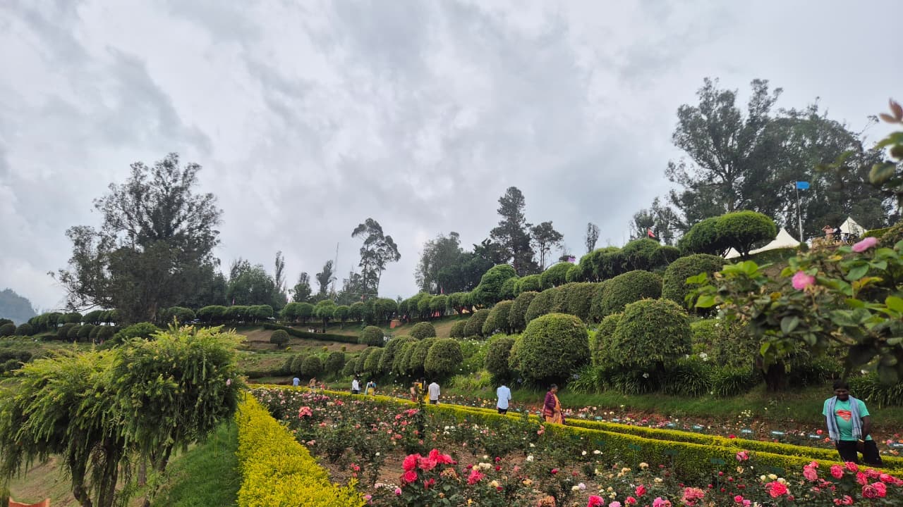 Government Rose Garden Ooty image 6