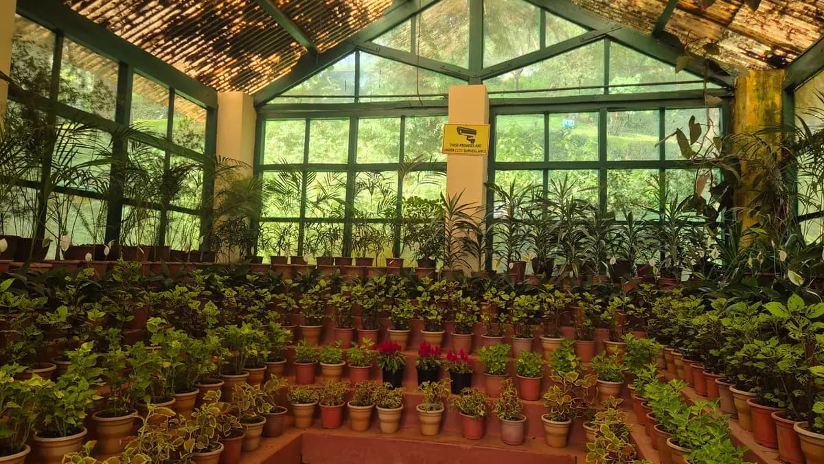 Sim's Park, Coonoor image 3