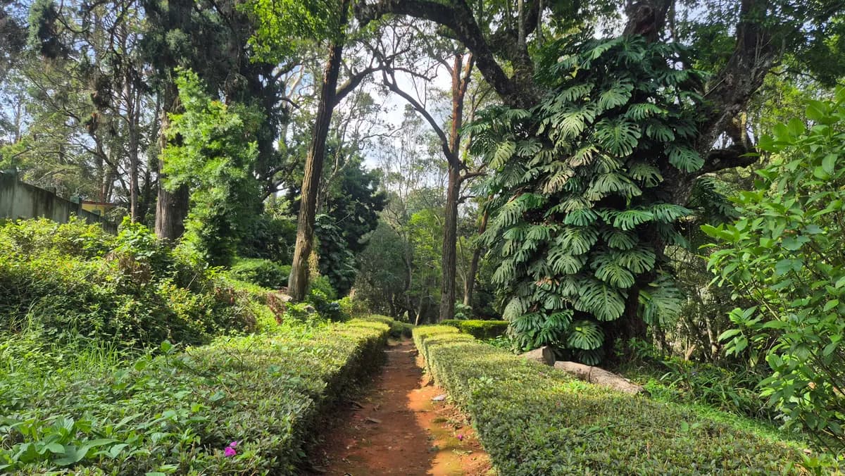 Sim's Park, Coonoor image 5