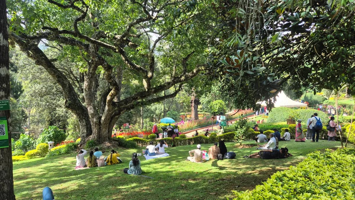 Sim's Park, Coonoor image 6