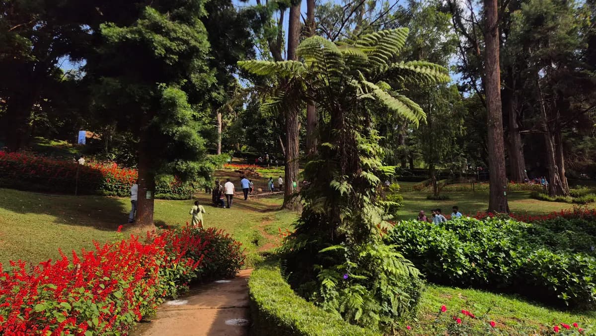 Sim's Park, Coonoor image 7
