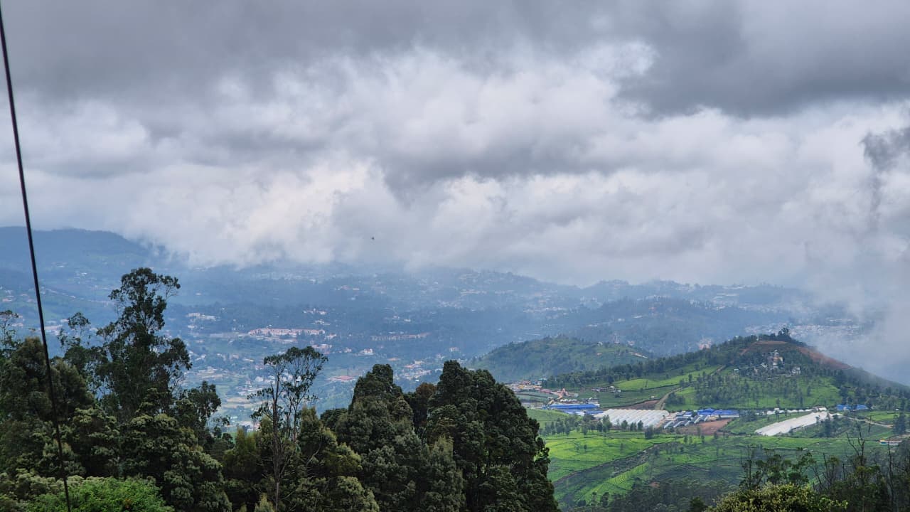 Misty morning view over Ooty's tea gardens and Nilgiri hills at sunrise